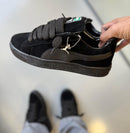 Puma Park